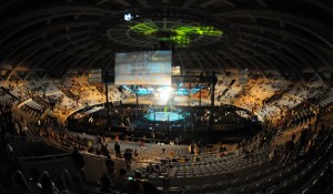 Conor McGregor's Stout Enters the BKFC Arena